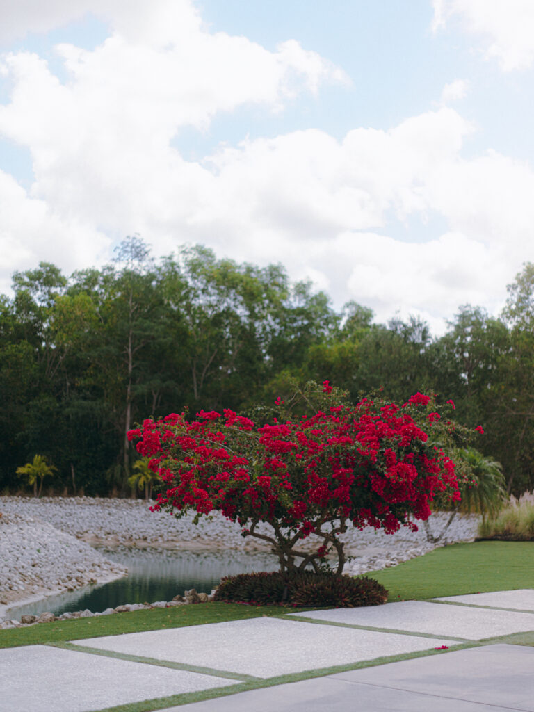 Landscape at Corkscrew Weddings and Winery in Estero, Florida
